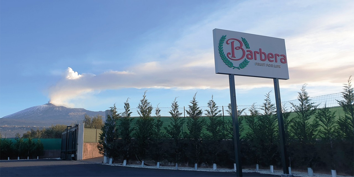 L'insegna di Barbera International